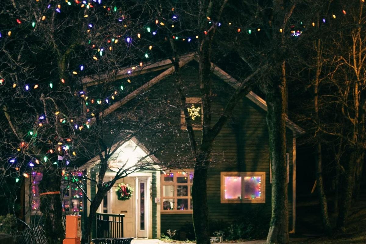 Árboles frente a una casa decorados con luces de navidad multicolor